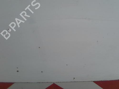Used Hood CITROËN JUMPY I Van (BS_, BT_, BY_, BZ_) 1.9 TD (90 hp) 22022565
