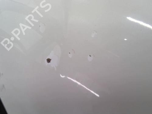 Hood FIAT IDEA (350_) 1.3 D Multijet | BP28428780C1