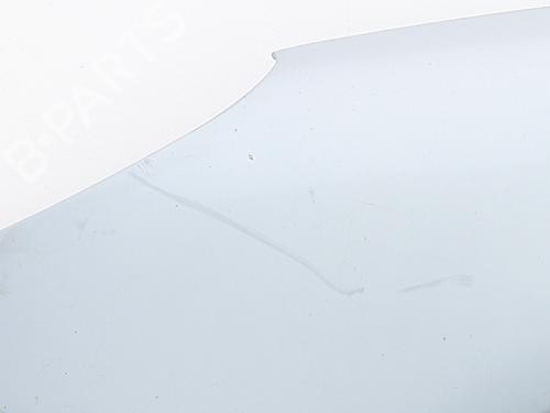 Left front fenders PEUGEOT 206 Hatchback (2A/C) 1.9 D | BP29500977C41 