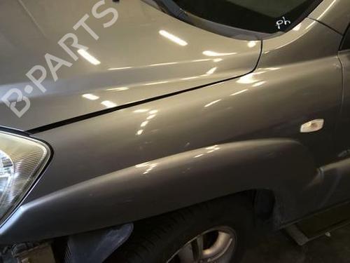 Left front fenders KIA SPORTAGE II (JE_, KM_) 2.0 CRDi 4WD | BP20955769C41