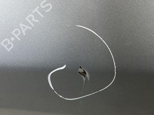 Left front door RENAULT ESPACE IV (JK0/1_) 2.0 dCi (JK01, JK02, JK1J, JK1K, JK1H) | BP22028332C2 