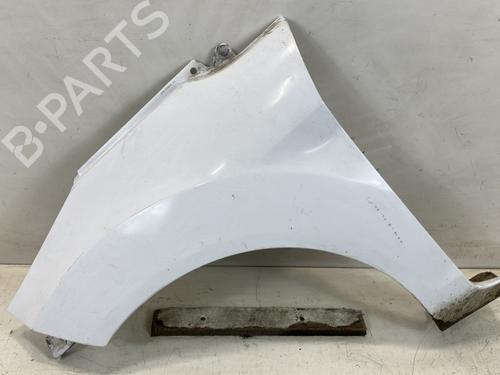 Left front fenders FORD FIESTA VI (CB1, CCN) 1.4 TDCi | BP22027244C41 
