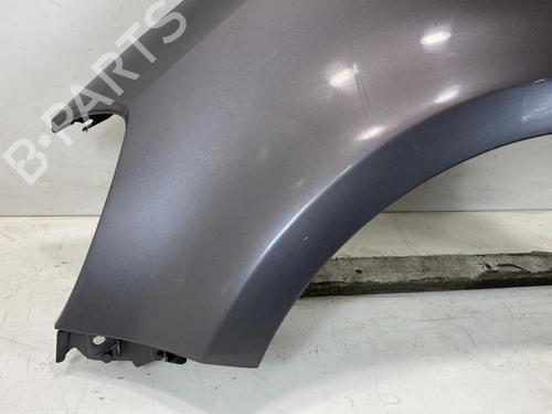 Left front fenders RENAULT CLIO III (BR0/1, CR0/1) 1.5 dCi (C/BR0G, C/BR1G) | BP27174287C41
