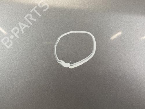 Right front door RENAULT CLIO III (BR0/1, CR0/1) 1.5 dCi (BR17, CR17) | BP27893430C3 