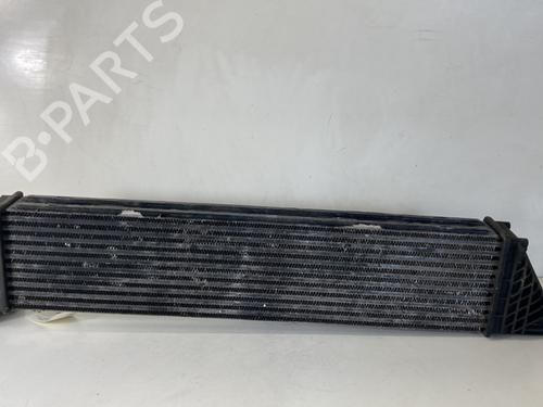 Used Intercooler Intercooler RENAULT LAGUNA II (BG0/1_) 1.9 dCi (BG1A, BG1W, BG0G) (110 hp) 25888887 25888887