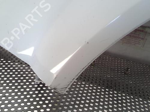 Left front fenders RENAULT MEGANE II (BM0/1_, CM0/1_) 1.5 dCi (BM1F, CM1F) | BP20957351C41 