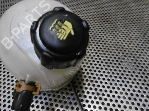 Expansion tank RENAULT SCÉNIC II (JM0/1_) 1.5 dCi (JM1E, JM16) | BP20955030C120 