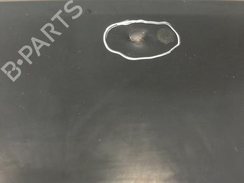 Tailgate CITROËN C4 Grand Picasso I (UA_) 1.6 HDi 110 | BP22028541C6