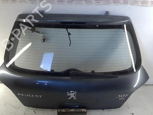 Tailgate PEUGEOT 307 (3A/C) 1.6 HDi | BP22022067C6 