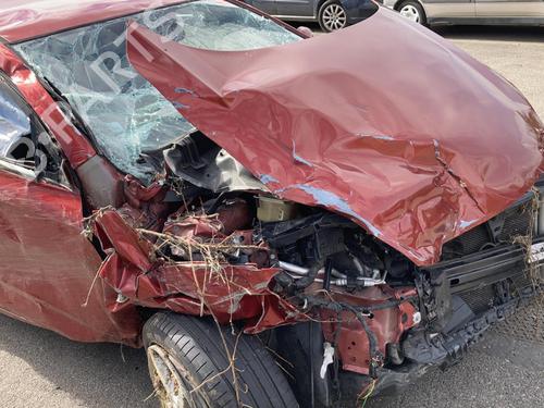 Sikkerhedssele-spænde KIA PRO CEE'D (ED) 1.6 CRDi 115 | BP22022113I32  - Image 6