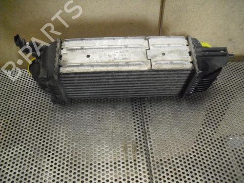 Water radiator CITROËN C5 II (RC_) 2.2 HDi (RC4HXE) | BP20955410M31
