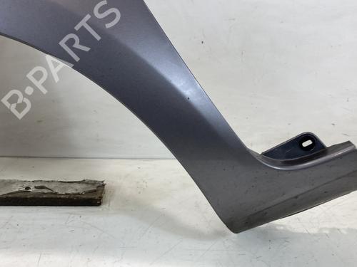 Left front fenders RENAULT CLIO III (BR0/1, CR0/1) 1.5 dCi (C/BR0G, C/BR1G) | BP27174287C41