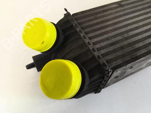 Used Intercooler Intercooler FIAT SCUDO Van (270_, 272_) 1.6 D Multijet (90 hp) 22025119 22025119