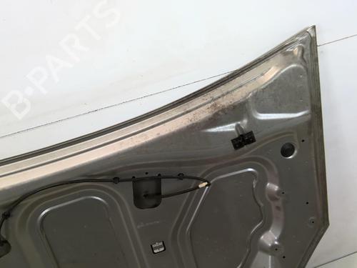 hood-dacia-sandero-14-mpi-lpg-6001551793-2008-20968538 main image