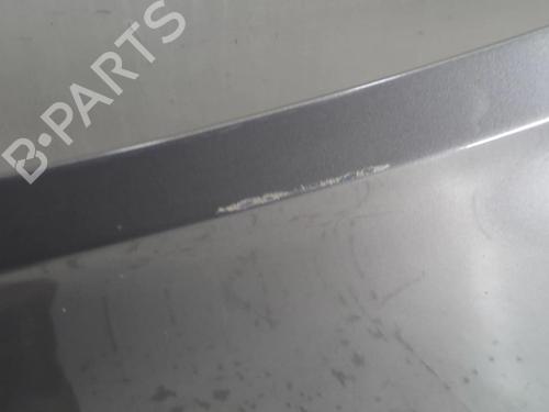 Hood RENAULT GRAND SCÉNIC II (JM0/1_) 1.9 dCi (JM14) | BP20948337C1 
