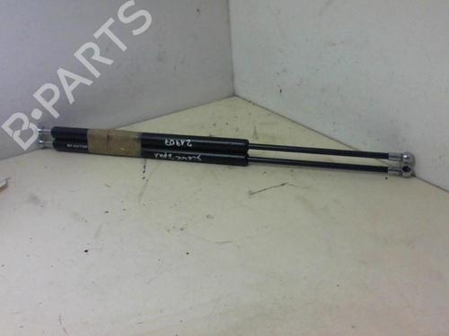Used Tailgate lift support RENAULT SCÉNIC II (JM0/1_) 1.5 dCi (JM1F) (86 hp) 20967282