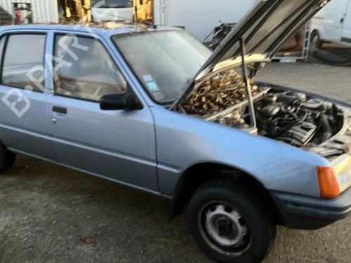 Left front door PEUGEOT 205 II (20A/C) 1.1 | BP20941491C2 