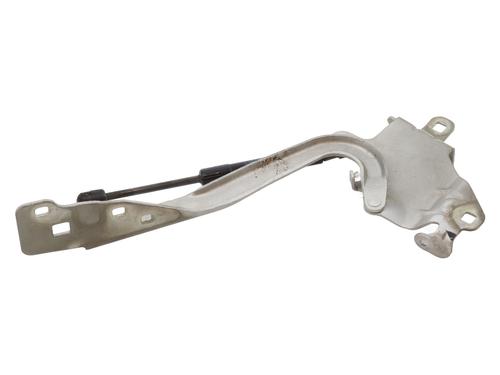 Used Hinge/Door check strap RENAULT SCÉNIC III (JZ0/1_) 1.5 dCi (106 hp) 20957986