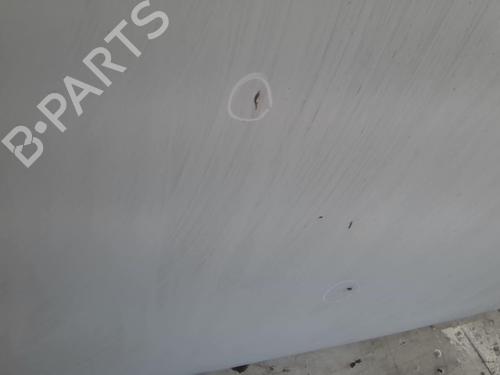 Hood RENAULT RAPID Box Body/MPV (F40_, G40_) 1.1 | BP22022300C1