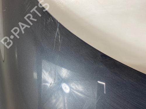 Hood RENAULT SCÉNIC III (JZ0/1_) 1.5 dCi | BP23791806C1