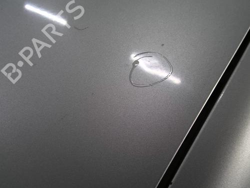 Hood TOYOTA RAV 4 II (_A2_) 2.0 D 4WD (CLA20_, CLA21_, CLA20R, CLA21R) | BP32343948C1 