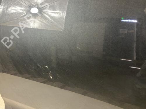 Left rear door CITROËN C4 Picasso I MPV (UD_) 1.6 HDi 110 | BP25920806C4