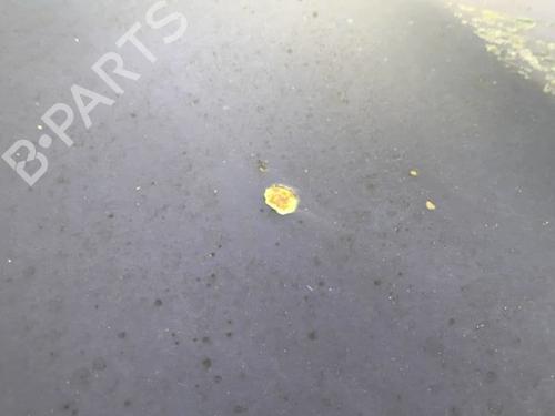 Hood OPEL ZAFIRA / ZAFIRA FAMILY B (A05) 1.9 CDTI (M75) | BP26743355C1 