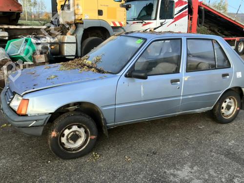 Left front door PEUGEOT 205 II (20A/C) 1.1 | BP20941491C2 