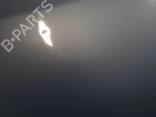 Right front door FIAT PANDA (169_) 1.2 (169.AXB11, 169.AXB1A) | BP29629416C3 