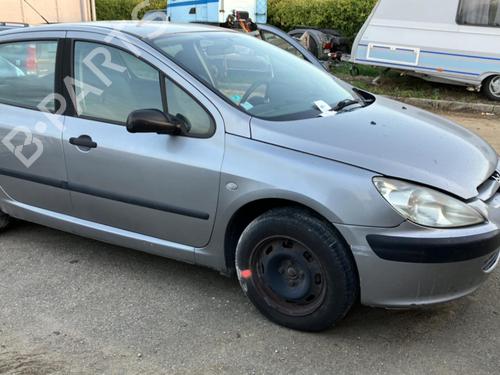 Hinge/Door check strap PEUGEOT 307 (3A/C) 2.0 HDi 90 | BP20965794C146 