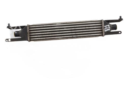 Intercooler FIAT PUNTO EVO (199_) 1.3 D Multijet (199AXC1A, 199BXC1A, 199AXT1A, 199BXT1A) | BP29113164M30 