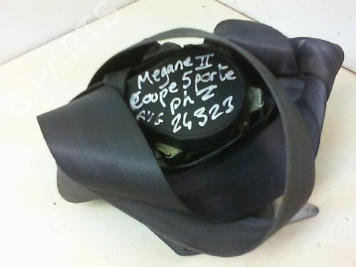 Used Front left belt tensioner RENAULT MEGANE II Saloon (LM0/1_) 1.9 dCi (LM0G, LM1G, LM2C) (120 hp) 20946378
