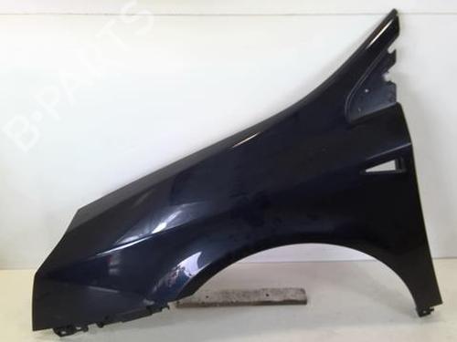 Left front fenders RENAULT VEL SATIS (BJ0_) 3.0 dCi (BJ0S) | BP20965116C41