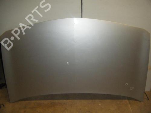 Used Hood RENAULT MEGANE II (BM0/1_, CM0/1_) 1.9 dCi (BM0G, CM0G) (120 hp) 22019498