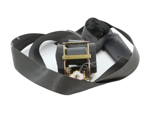 Used Front right belt tensioner RENAULT MEGANE II Coupé-Cabriolet (EM0/1_) 1.9 dCi (120 hp) 30899945