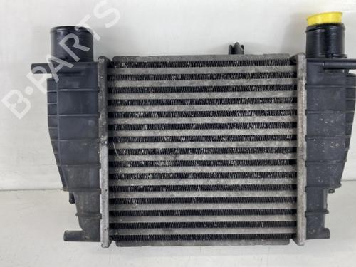 Used Intercooler Intercooler RENAULT CLIO III Hatchback Van (SB_, SR_) [2005-2026] 25267960 25267960