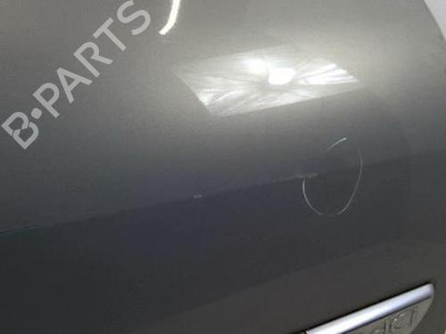 Right front door RENAULT MEGANE II (BM0/1_, CM0/1_) 1.9 dCi (BM0G, CM0G) | BP22021535C3