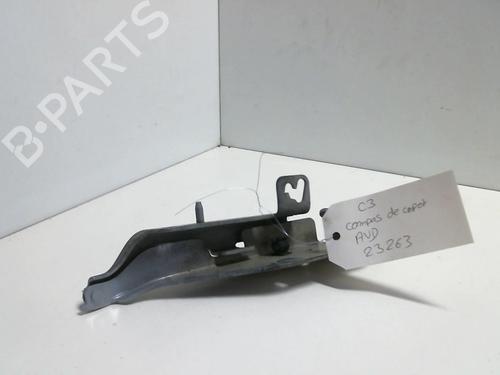 Used Hinge/Door check strap CITROËN C3 I (FC_, FN_) 1.4 16V (88 hp) 20954273
