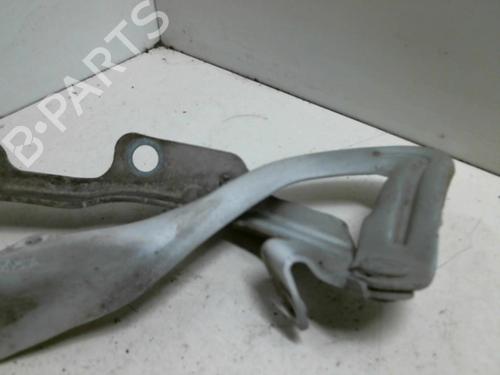 Hinge/Door check strap PEUGEOT 207 (WA_, WC_) 1.4 HDi | BP20957801C146 
