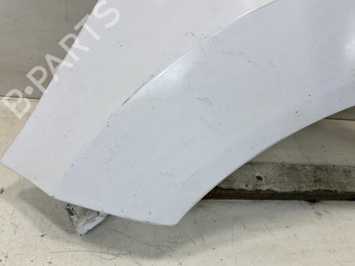 Left front fenders FORD FIESTA VI (CB1, CCN) 1.4 TDCi | BP22027244C41 