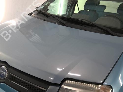 Hood FIAT PANDA (169_) 1.2 (169.AXB11, 169.AXB1A) | BP29629406C1 