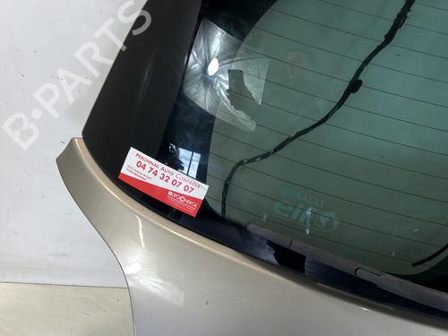 Tailgate RENAULT CLIO III (BR0/1, CR0/1) 1.5 dCi | BP22028521C6 