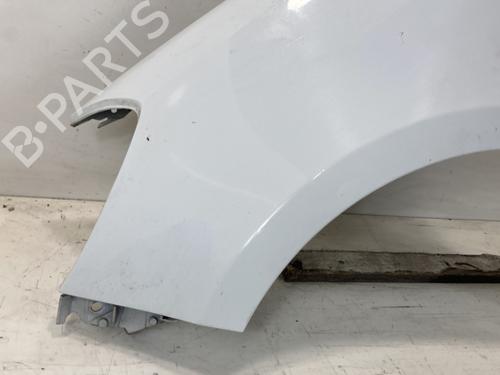 Left front fenders RENAULT CLIO III (BR0/1, CR0/1) 1.5 dCi (C/BR0G, C/BR1G) | BP27570406C41