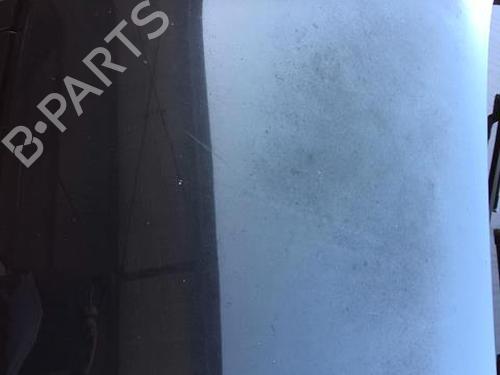 Hood VW POLO IV (9N_, 9A_) 1.4 TDI | BP22027952C1 