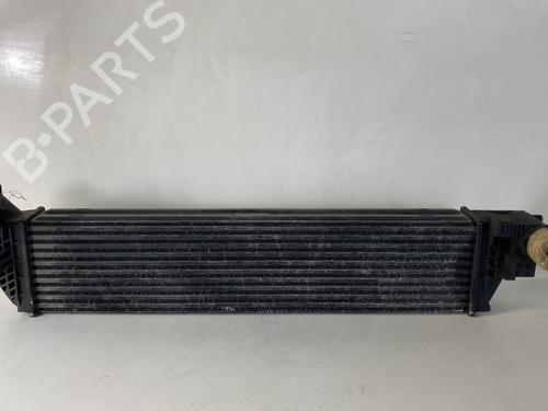 Intercooler RENAULT LAGUNA II (BG0/1_) 1.9 dCi (BG1A, BG1W, BG0G) | BP25888887M30 - Image 4