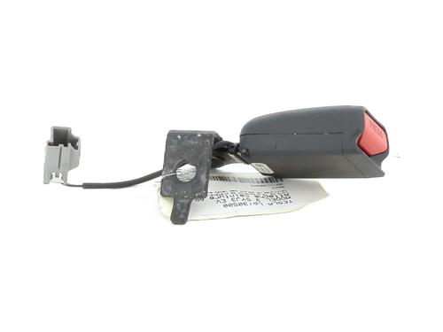 Hinge/Door check strap TESLA MODEL 3 (5YJ3)  | BP28585742C146 
