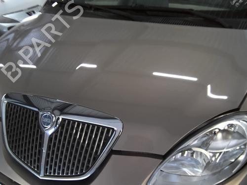 Used Hood Hood LANCIA YPSILON (843_) 1.3 D Multijet (843.AXE11, 843.AXE1A) (90 hp) 33741299 33741299