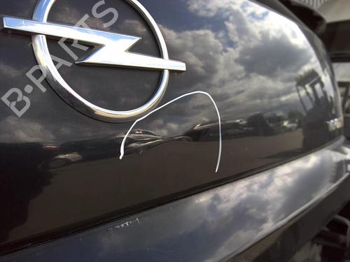 Used Tailgate Tailgate OPEL SIGNUM Hatchback (Z03) 3.0 V6 CDTI (F48) (184 hp) 22025743 22025743