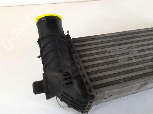 Used Intercooler Intercooler RENAULT KANGOO / GRAND KANGOO II (KW0/1_) 1.5 dCi 85 (KW0K, KW0L, KW0B) (86 hp) 20968469 20968469