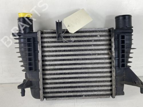 Used Intercooler RENAULT CLIO III (BR0/1, CR0/1) 1.5 dCi (C/BR0G, C/BR1G) (68 hp) 25267960